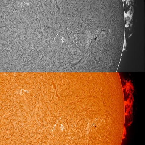 2/20  ﾌﾟﾛﾐﾈﾝｽ+彩層
