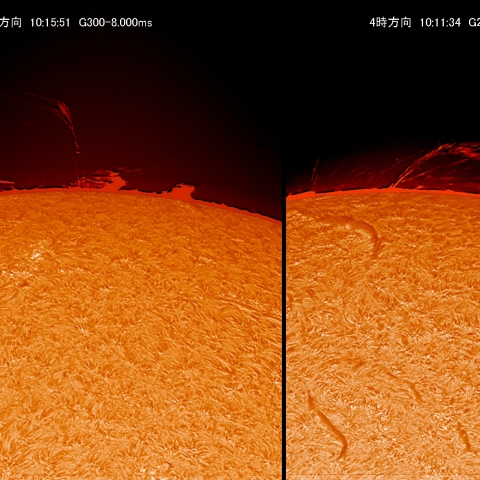 3/1 ﾌﾟﾛﾐﾈﾝｽ拡大