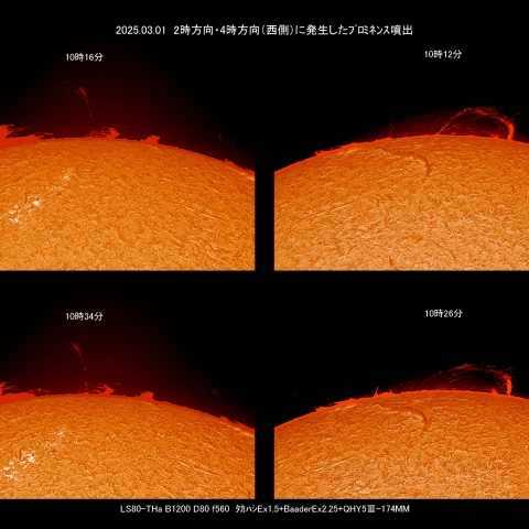 3/1 ﾌﾟﾛﾐﾈﾝｽ