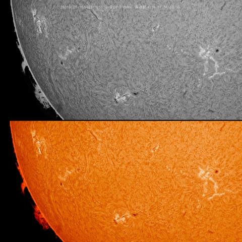 07/25 黒点群付近拡大