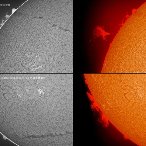 08/19 ﾌﾟﾛﾐﾈﾝｽ拡大