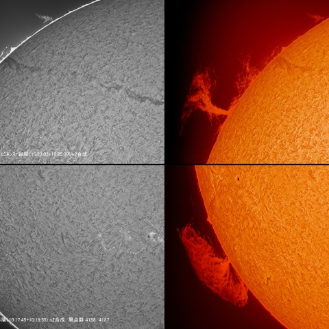 08/20 ﾌﾟﾛﾐﾈﾝｽ拡大