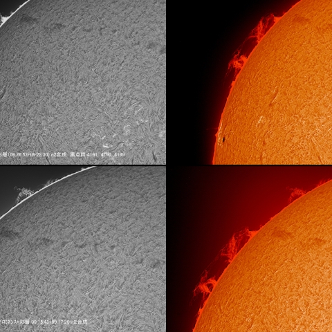 08/21 プロミネンス拡大