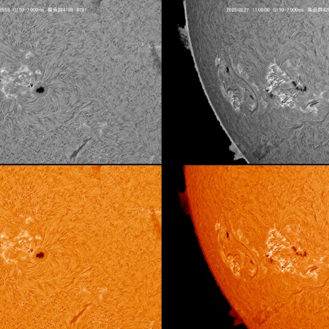 08/27 黒点群付近拡大
