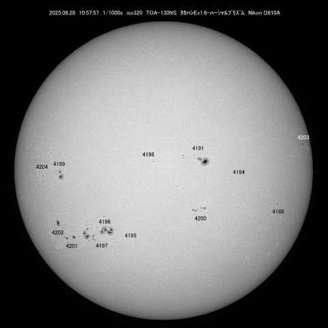太陽と月 陰と陽 原画一点物 高波動！可愛い陰陽太極図・点描画・ミニ額入り その他アート