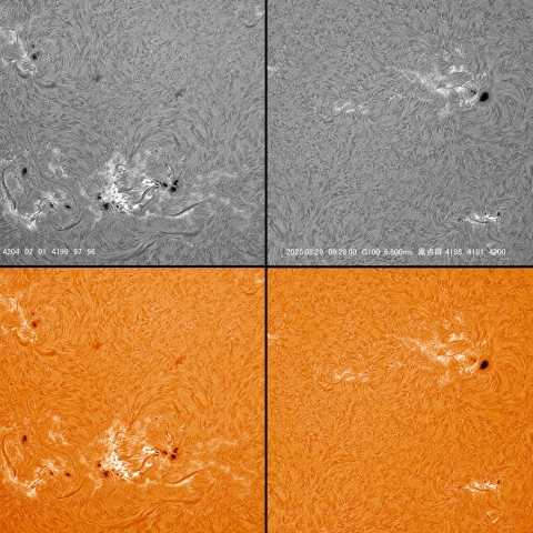08/29 黒点群付近拡大