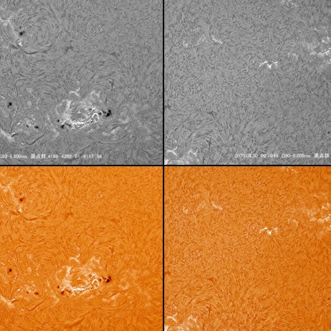08/30 黒点群付近拡大