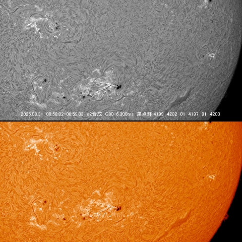 08/31 黒点群付近拡大