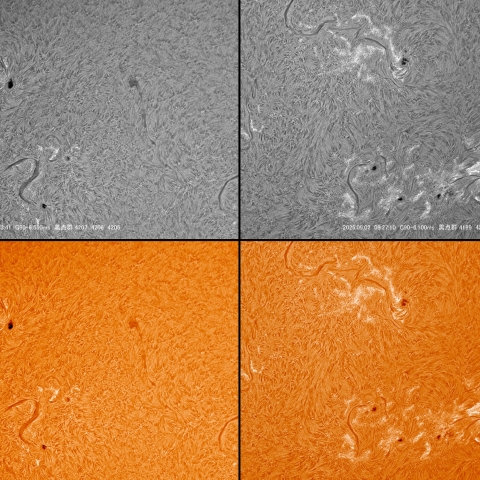 09/02　黒点群付近拡大