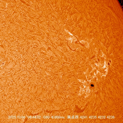 10/06　黒点群付近拡大