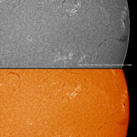 10/08　黒点群付近拡大