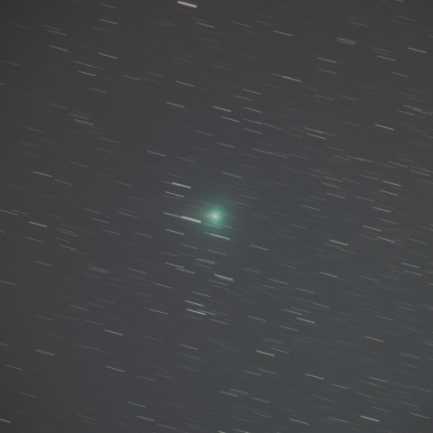 10/27 スワン彗星(C/2025  R2)