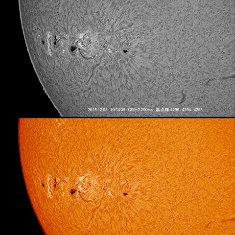 12/02　黒点群付近拡大