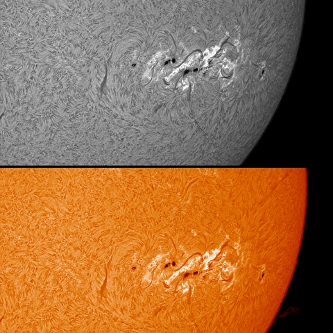 12/09 黒点群付近拡大