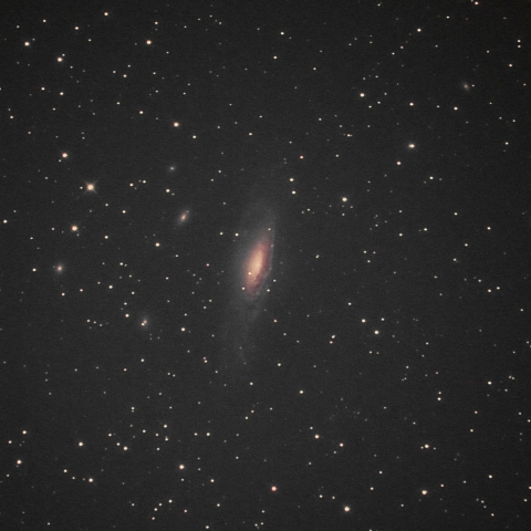 10/6・NGC7331と超新星