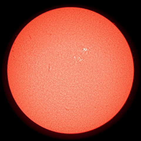 2/12の太陽（Hα）