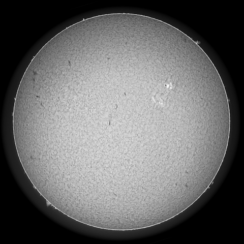 2/13の太陽（Hαモノクロ）