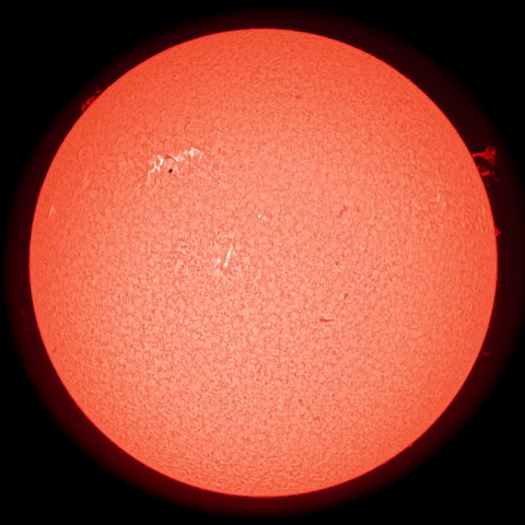 2/24の太陽（Hα擬似カラー）