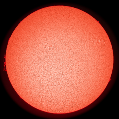 3/7の太陽（Hα擬似カラー）