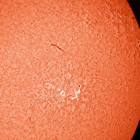 4/30の太陽活動域