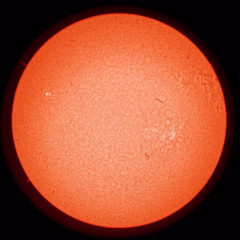 4/30の太陽（擬似カラー）