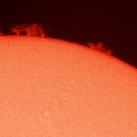 6/14の東周辺プロミネンス