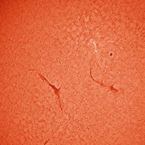 6/19の太陽（活動域）