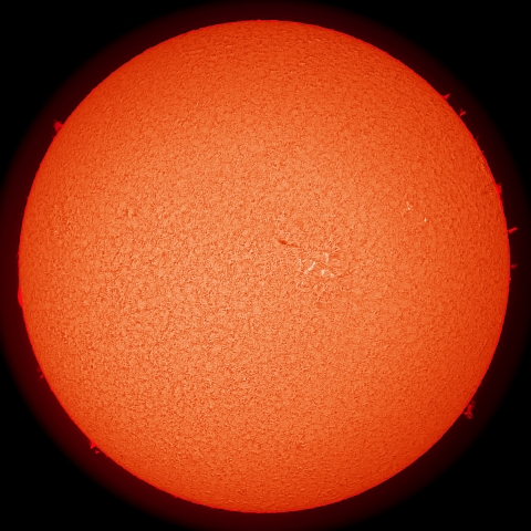 7/31の太陽（Hα擬似カラー）