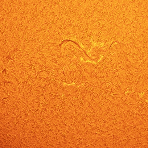 7/27の太陽面拡大