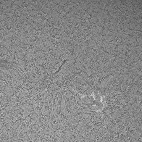 7/27の太陽面拡大