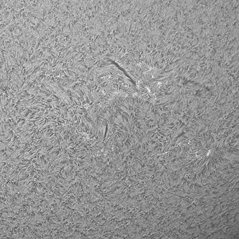 7/29の太陽面拡大