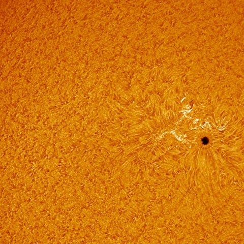 10/9の太陽拡大（黒点2882付近）