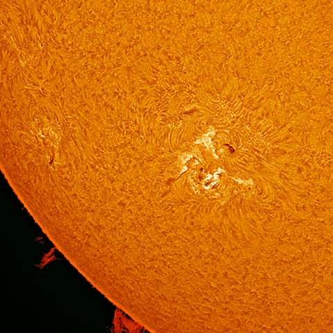 10/ 26　光球面（黒点2887付近）