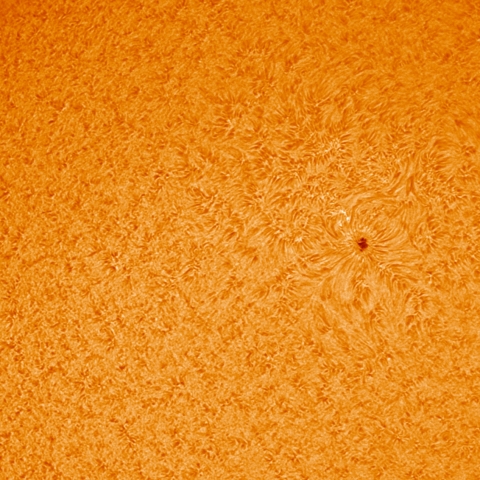 11/ 05　太陽Ⅱ（黒点群2893）