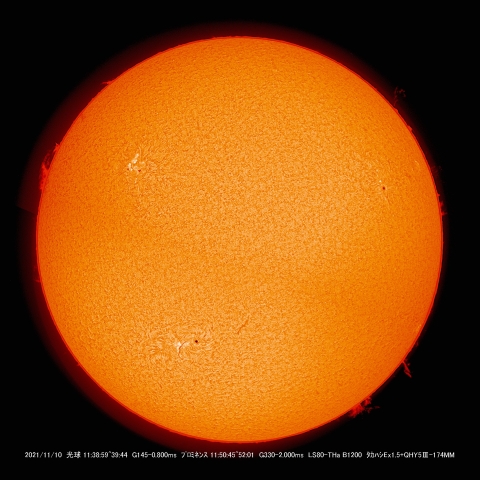 11/ 10　太陽Ⅱ
