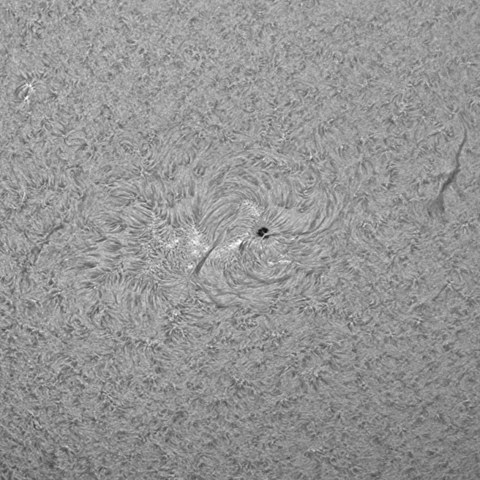 11/ 11　太陽(黒点群2894付近）