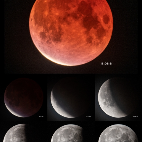 11/ 19  部分月食