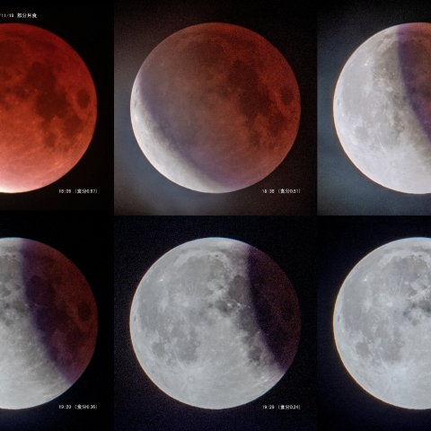 11/ 19  部分月食・組み写真