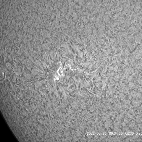 3/25太陽Ⅲ(黒点群2974）