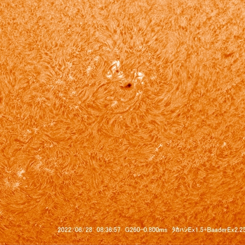 6/28 太陽Ⅰ