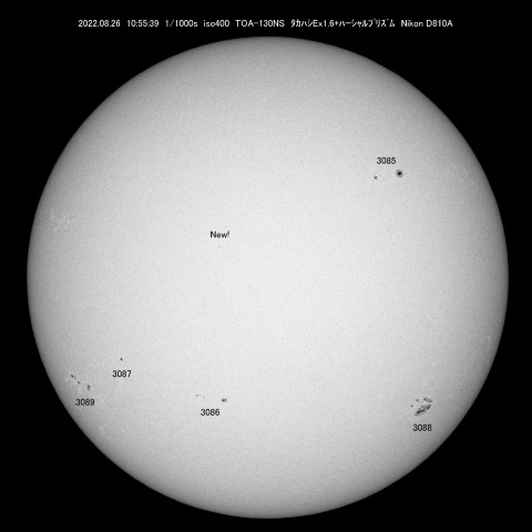 8/26太陽黒点