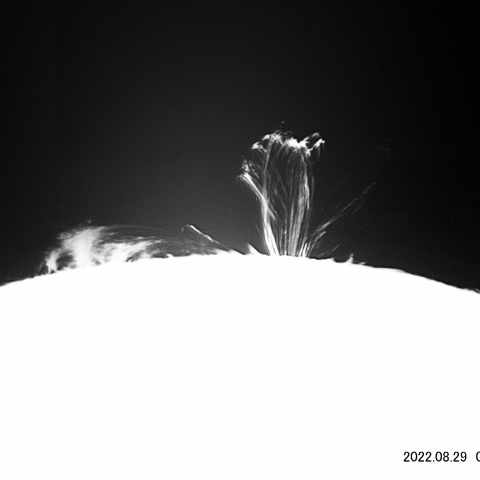 8/29感動のプロミネンス