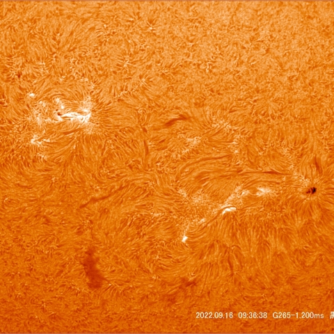 9/16 太陽拡大Ⅰ