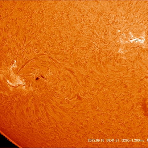 9/16 太陽拡大Ⅱ