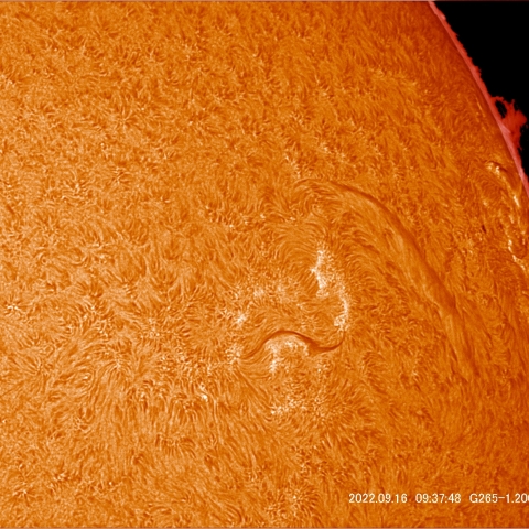9/16 太陽拡大Ⅲ