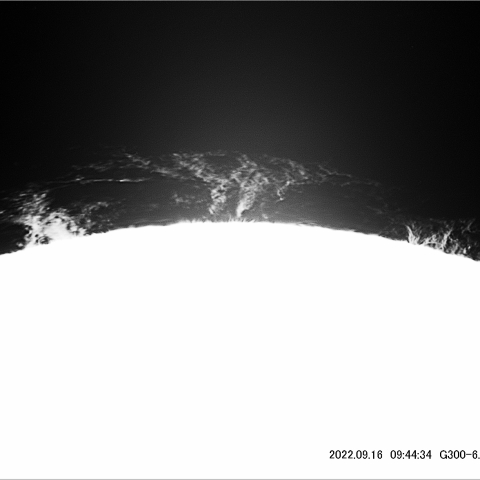 9/16 太陽ﾌﾟﾛﾐﾈﾝｽ