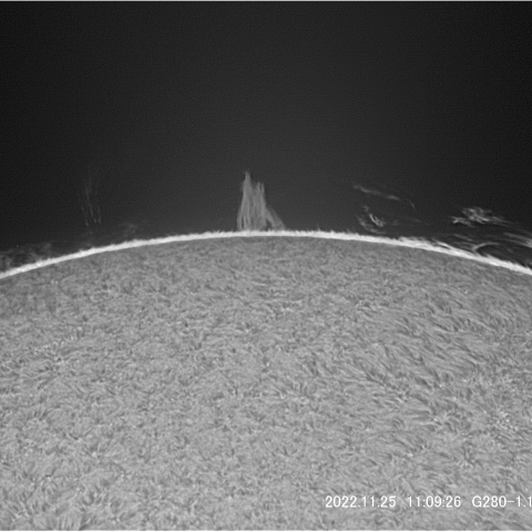 11/25  太陽 ﾌﾟﾛﾐﾈﾝｽ