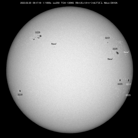2/20　太陽 黒点
