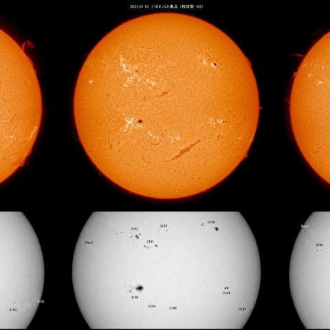 1/17~22  相対数200超・6日間の活動1/2