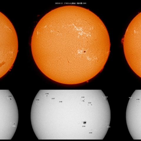 1/17~22  相対数200超・6日間の活動2/2